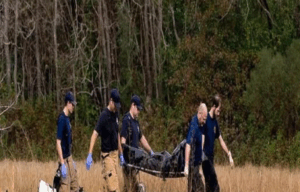 Breaking – Missing girl found in the woods, her father was the one who! See more!