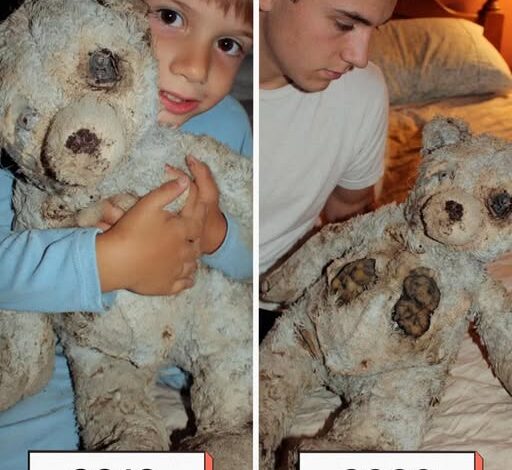 My Son Found a One-Eyed Teddy Bear in the Dirt – That Night, It Whispered His Name and Begged, Help
