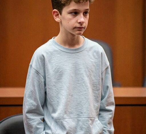 My Foster Son Never Spoke a Word, Until the Judge Asked Him One