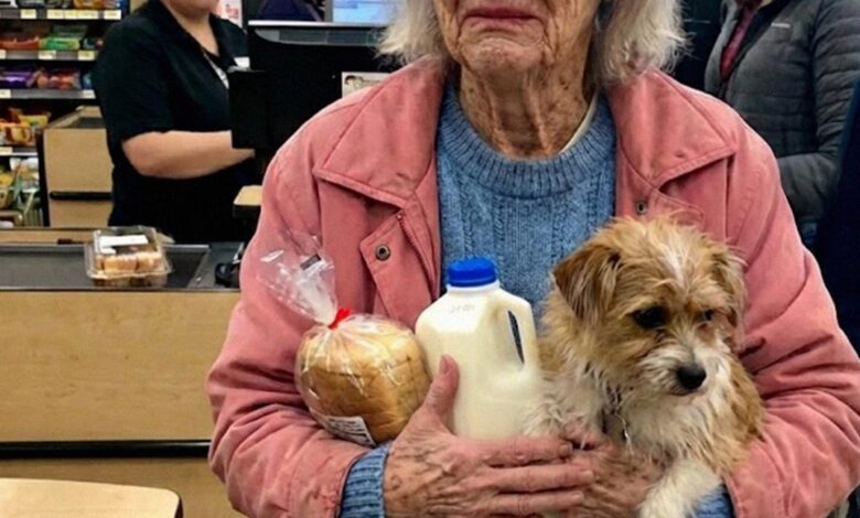 I Paid for a Struggling Grandma at the Grocery Store – Three Days Later, the Clerk Came to My Door with Her Final