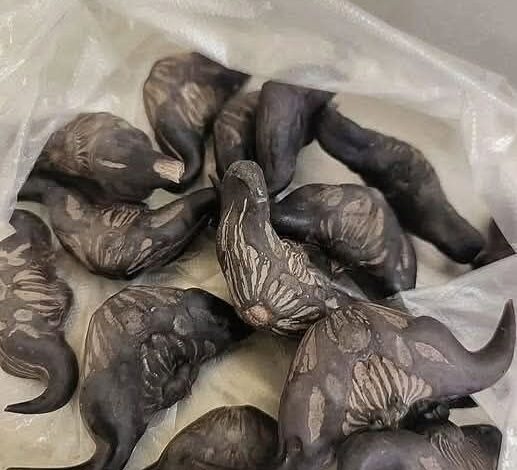 My neighbor gave me a bag of these, anyone know what they are? How do you eat them?