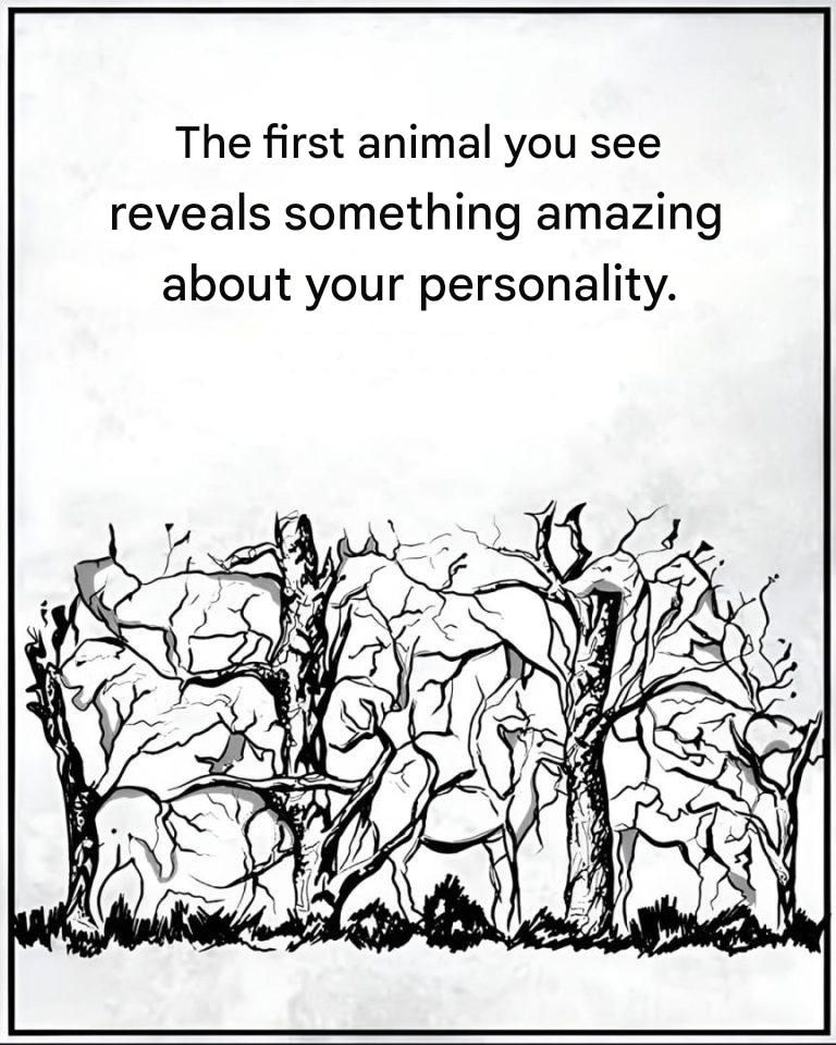 A Simple Image That People Say Reveals Personality